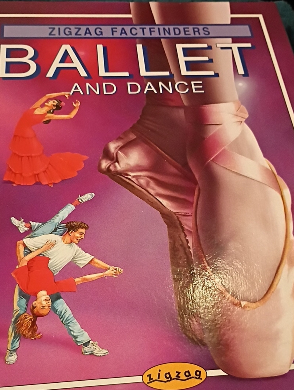 Ballet Pointe Shoe - Pink Women's Dance Shoe